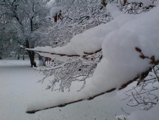 Product picture nature